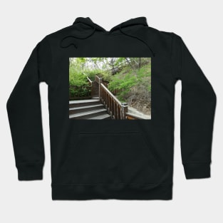 Pathways Collection 3 Hoodie